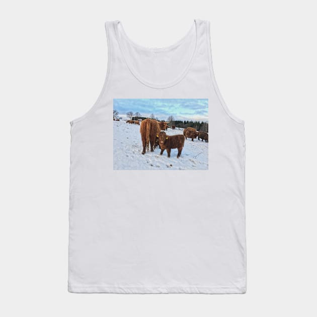 Scottish Highland Cattle Cows and Calves 1607 Tank Top by SaarelaHighland